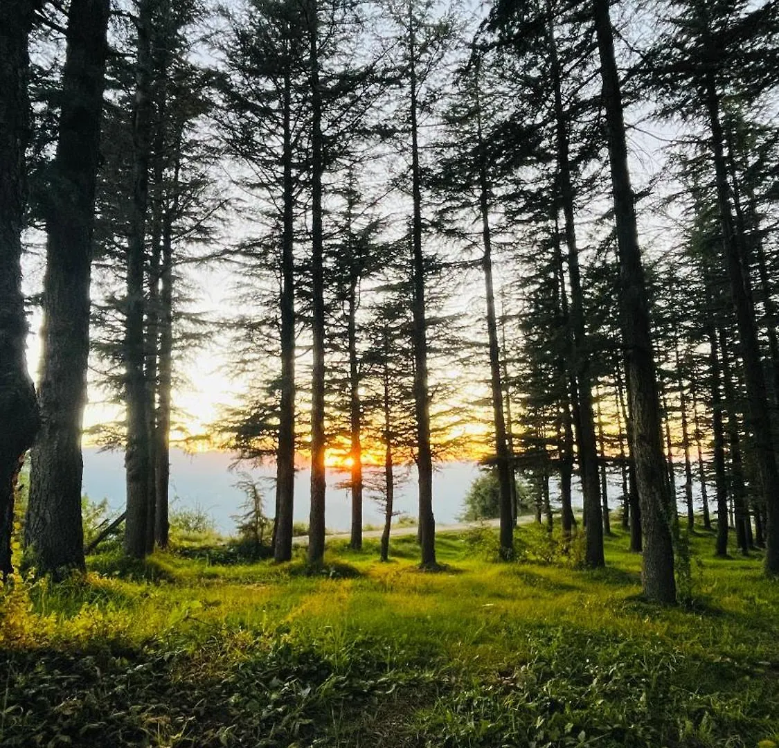 Lodge Gable Camp And Cottage Shimla